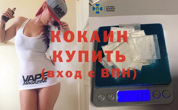 PSILOCYBIN Ельня