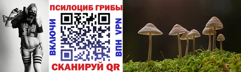 OMG tor  Избербаш  Псилоцибиновые грибы MAGIC MUSHROOMS 